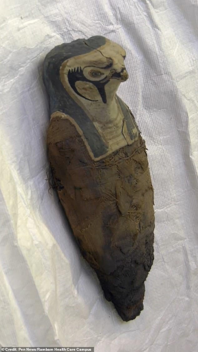 PH๏τo shows a second bird-like mummy - one of two mummies studied by researchers. This likely represented the ancient Egyptian god Horus