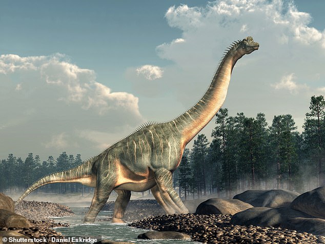 Elements of the axial skeleton have been uncovered so far, including vertebrae and ribs that indicate it was a brachiosaurid. Dinosaurs belonging to this group include Brachiosaurus alтιтhorax (pictured) which was animated in the 1993 movie Jurᴀssic Park