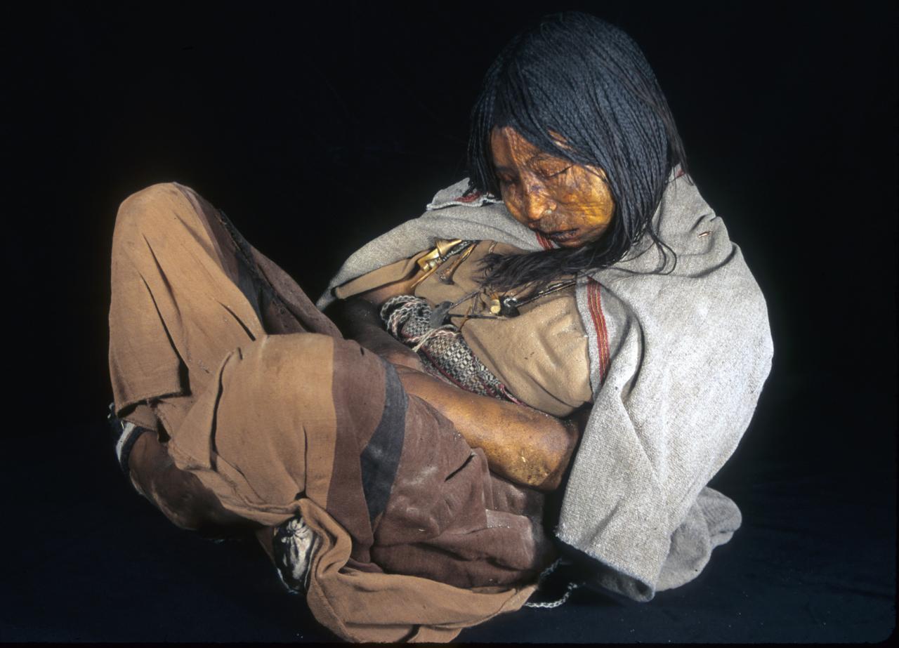 Inca child sacrifices were drunk, stoned for weeks before death