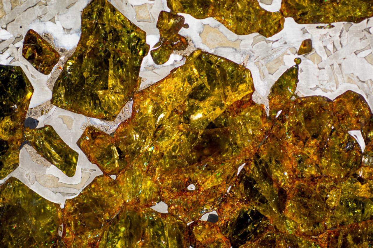 Picture of the Week: Fukang Pallasite