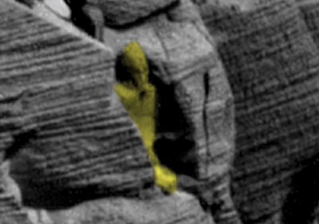  Conspiracy theorist Scott C Waring says this strangely shaped rock is an Ancient Egyptian sarcophagus on Mars. Scott used pH๏τo-editing tools to colour the object, which he spotted in a Nasa pH๏τo of the red planet