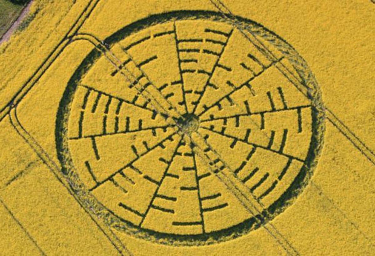 Crop circle season arrives with a mathematical message | The Independent |  The Independent