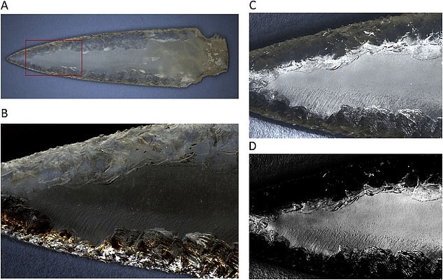 The weapon’s face was polished, which may have been done to avoid fractures or accidents while constructing the shape. Due to the dagger’s size, researchers speculate it was taken from a monocrystal at least eight inches long and two inches thick,