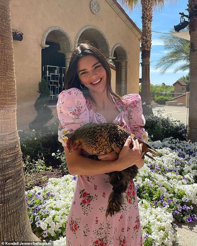 Ruffling feathers: The model, 25, hugged a live chicken in one snap from her Palm Springs vacation with the family