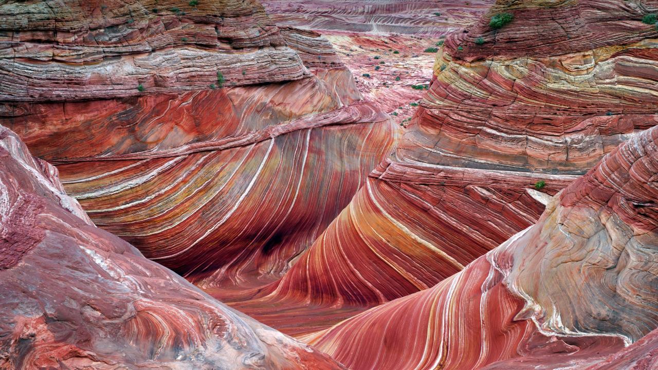 The Wave' sandstone formation in Coyote ʙuттes North, Paria  Canyon-Vermilion Cliffs National Monument, Arizona - Bing Gallery