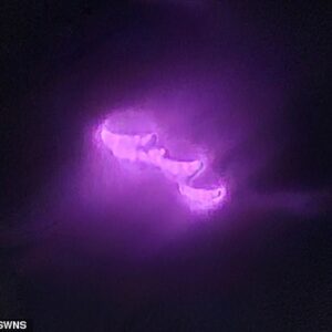 A close-up of the purple 'UFO'. Ms Tanase said: 'At first we thought maybe it was a reflection of our pink uniform but on the video you can see the motion - you can see it's flying'