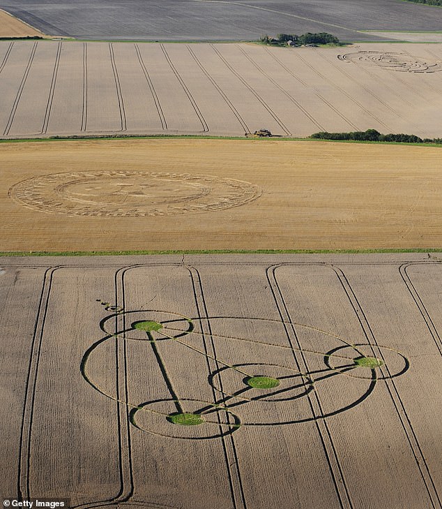 Lord Rees says it is unlikely that aliens would travel all the way to Earth just to make a crop circle and visit 'one or two well-known cranks'