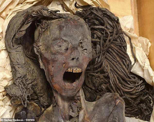 When it comes to death, most of us would hope for a peaceful and pain-free pᴀssing. So spare a thought for this Egyptian mummy, who likely died screaming in agony 3,500 years ago, according to researchers