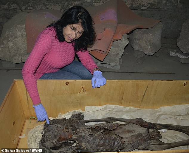 The mummy was first discovered in 1935, when an archaeological expedition unearthed a wooden coffin located beneath the tomb of the architect Senmut, who died in 1464BCE