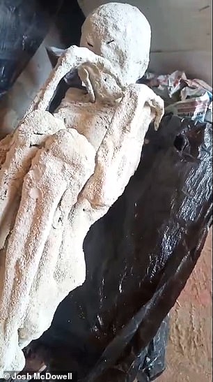 The new video was obtained by a former Colorado prosecutor Josh McDowell, who has ᴀssembled a team of senior American forensic experts to finally get to the ground truth behind what have come to be known as the 'Nazca mummies' of Peru. Above: one of the two new specimens