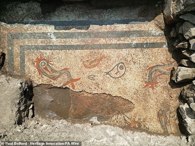 The rare 2,000-year-old mosaic depicting dolphins and fish still in bright colours has been uncovered in a Roman city in Shropshire. The dolphins are the largest ones, with red tails and grey bodies