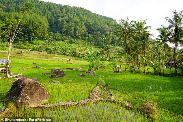 Topping the list is Indonesia's Subak System, which is vulnerable to surface flooding, extreme heat days, and drought risk