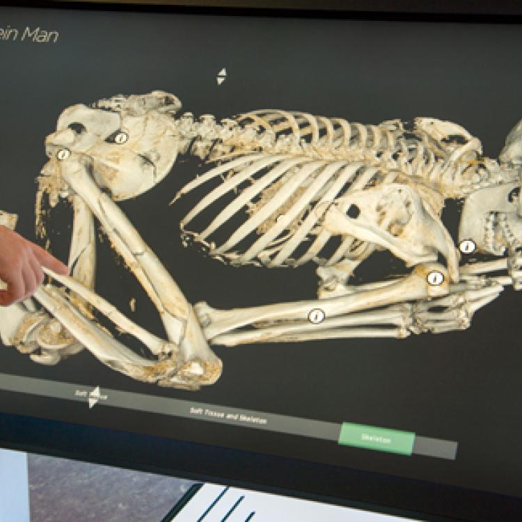 A touchscreen showing a scan of the skeleton of a naturally mummified adult male lying in flexed position