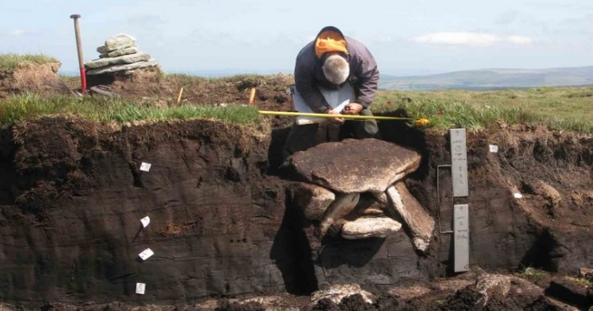 Dartmoor ancient burial chamber found in significant find - Somerset Live