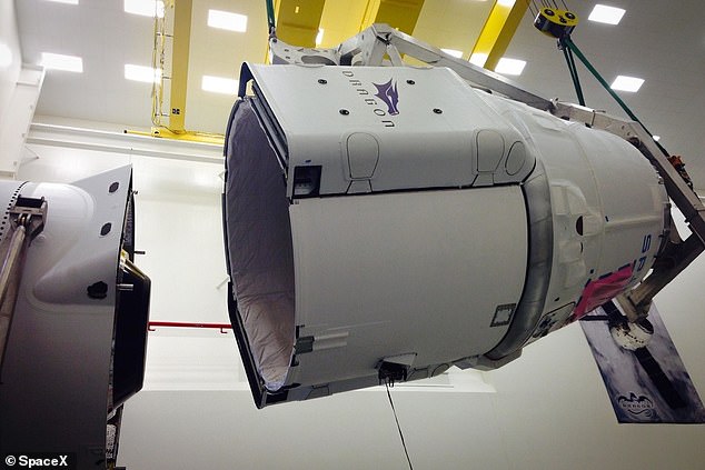 Although this piece of SpaceX debris fell safely about a half-mile down a remote forest trail, Dr McDowell noted that both governmental and private space programs have become notably lax with their space junk in recent years. Above, the open trunk of a SpaceX Cargo Dragon craft