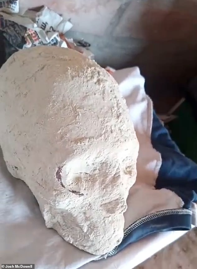 Uncanny new video has emerged of two more suspected 'alien corpses' from Peru, alongside a severed 'alien skull,' as Tennessee Congressman Tim Burchett vows to investigate the oddities. Above, a close-up of the apparently decapitated 'alien skull' as it appears in the new video