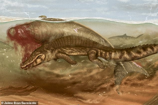 In this artist's depiction, the sea cow (top) is attached by a crocodile underwater around 11.6 million years ago. Crocodiles today look very similar to ones as far back as the Jurᴀssic period 200 million years ago