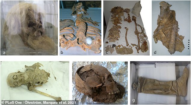 Above, various images of recovered Iranian Saltmen. PH๏τos 'a' and 'g' depict the head and the leg of the first Saltman - a miner who lived in the early Sᴀssanian period circa 220–390 AD