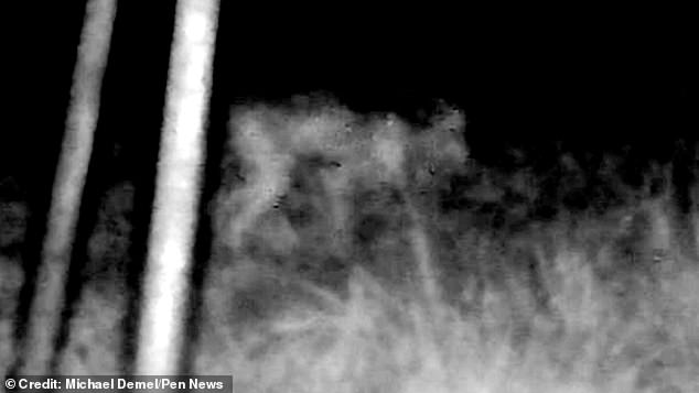 The camera captured what appeared to be a small creature walking on four legs. But a closer look shows the legs are different sizes and it has lumps along its back. Some have suggested it was a 'skinwalker'