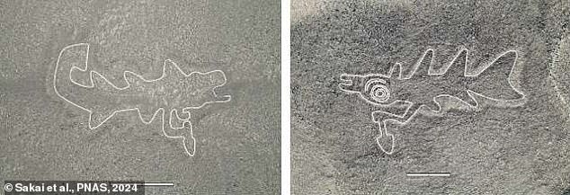 The actual purpose of the mysterious Nazca Lines has long puzzled archaeologists. Pictured: killer whales (orcas) holding knives