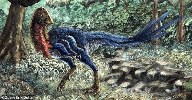 Above, an illustration of the new 'chicken from hell' - a smaller cousin to the previously known and very poultry-like dino, 'Anzu wyliei.' The new species has been named the 'Pharaoh's dawn chicken from hell' ('Eoneophron infernalis' in Latin) by the 28-year-old who discovered it