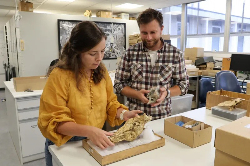 Dr Phoebe McInerney and Jacob Blokland with the skull