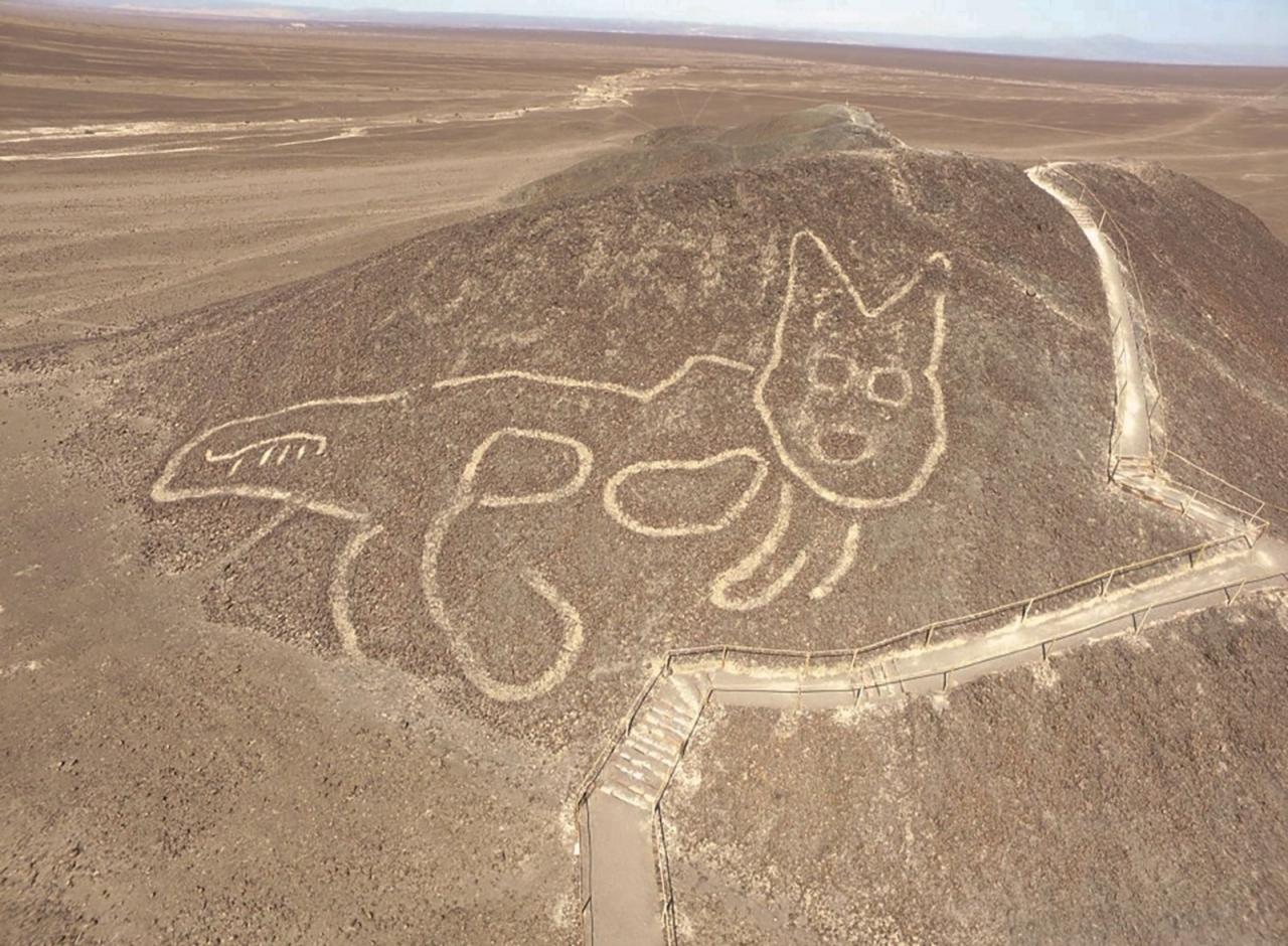 A 2000-year-old giant cat geoglyph was discovered 4 months ago amid Peru's  famous Nazca Lines, a UNESCO World Heritage Site [1600x1176] :  r/ArtefactPorn