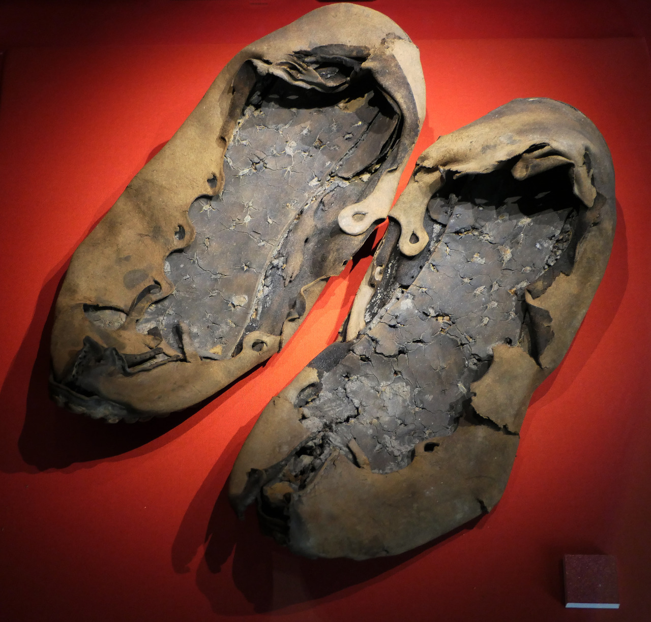 2,000-year-old children's shoes found in the ruins of the ancient city of  Palmyra – amazingsportsusa.com