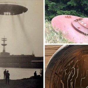 UFO Conspiracy Theory: Invasion Plans Are Being Executed.