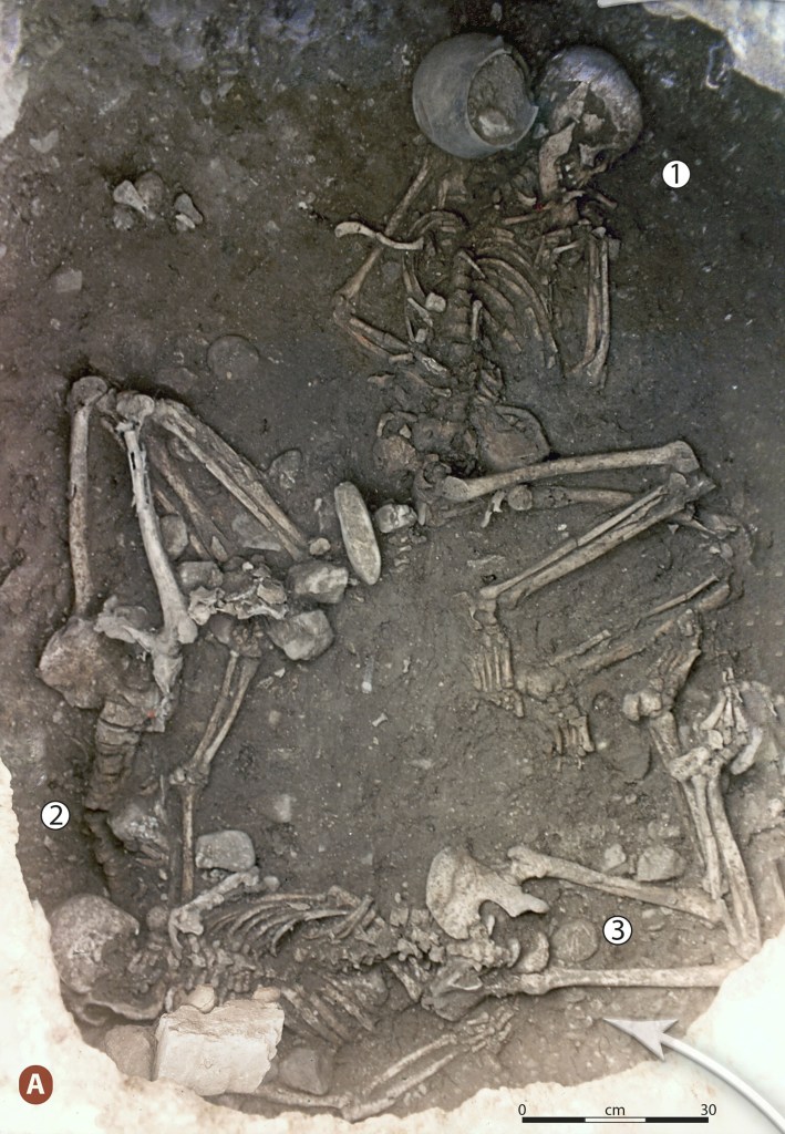 Remains of women buried in ground