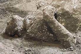 Pompeii: dig reveals scalded bodies of rich man and slave | The National