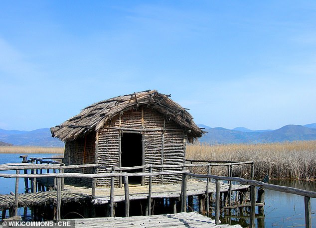 The lakeside, late Neolithic settlement at Dispelio has become an educational tourism H๏τ spot in Greece - adorned with recreations of homes once built by its Stone Age inhabitants (above)