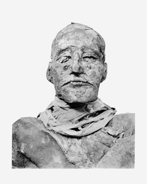 Ramses_III_mummy_head.png