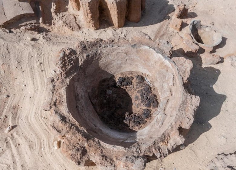 5,000-year-old brewery, possibly world's oldest, uncovered in Egypt | CBC  News