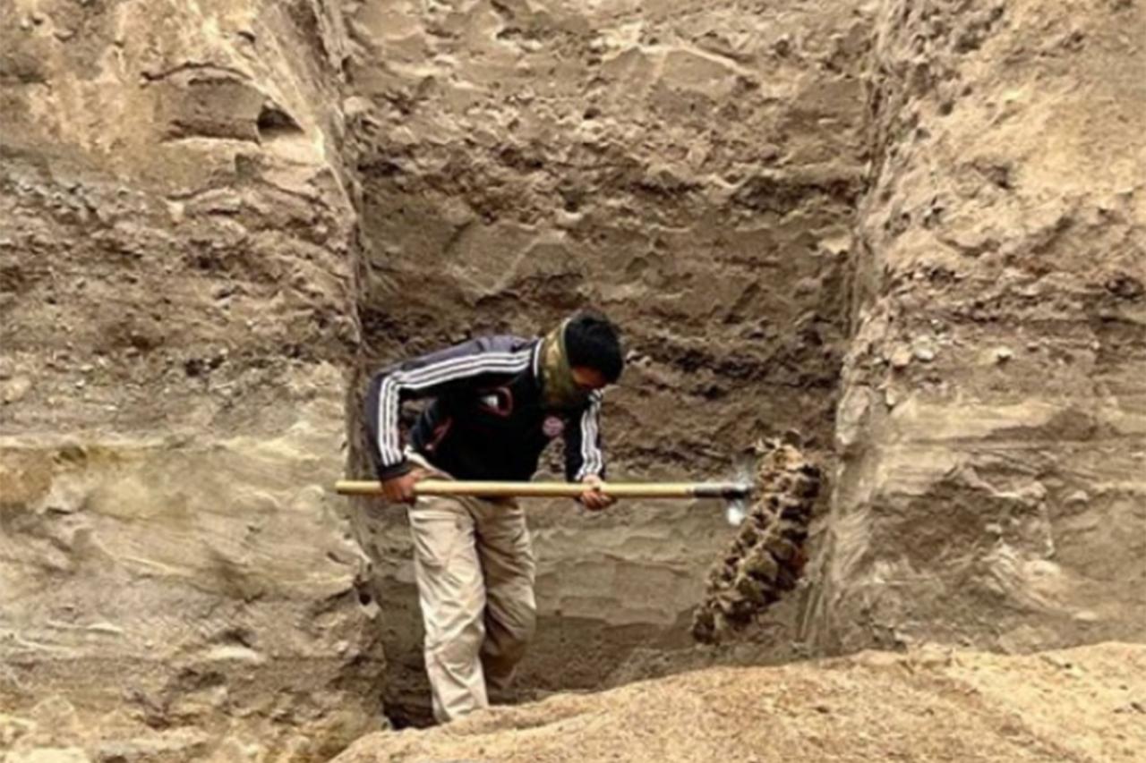 The remains of the ancient mammoth were found near the Jyrgalang River in Kyrgyzstan