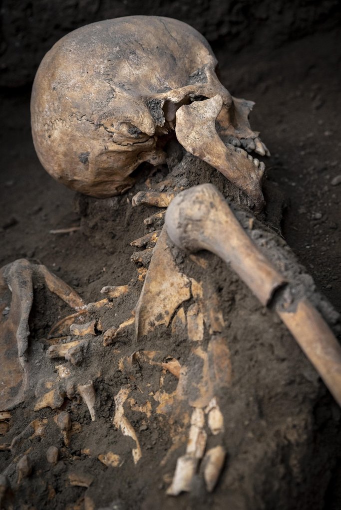 The newly found remains help shine a light on everyday life in Pompeii.