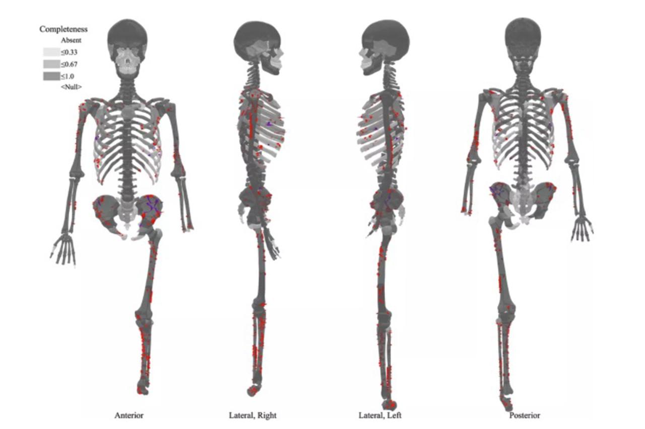 A distribution map of Tsukumo No. 24's traumatic injuries