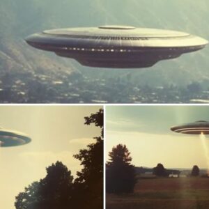 Unveiling the Secrets: The Enigma of UFO Artifacts in the Skies