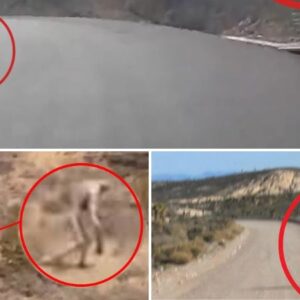 BREAKING: New Evidence Uncovers Possible Alien and UFO Storage at Area 51.