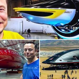 The world is evolving: Elon Musk officially unveils his futuristic warp drive spaceship!