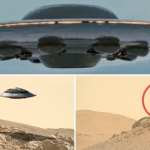 A Mysterious UFO Sighted on Hawaii’s Golden Sand Beach.