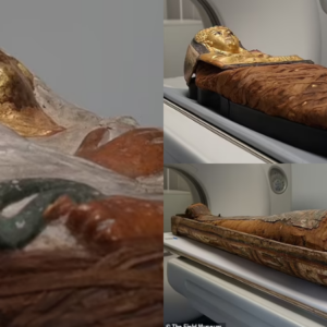 X-ray scans finally reveal how 3,000-year-old Egyptian mummy was sealed in coffin ‘with no opening’