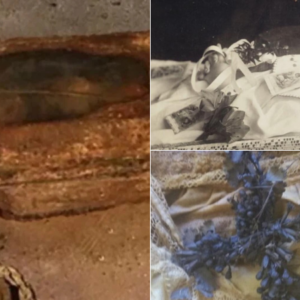 The secret of the mummy in the Crystal coffin found in a garage in San Francisco