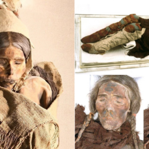 The whispered stories of the Tocharian Female – the ancient Tarim Basin mummy