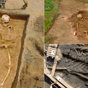 “Skeleton of Giant” Is Internet PH๏τo Hoax