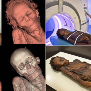 Famous Gaunches Mummies Drenched In Dragons’ Blood Like A Stradivarius Violin