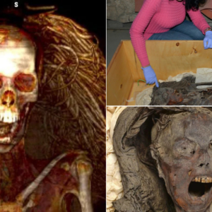 ‘Screaming’ mummy suffered an agonising death, say scientists