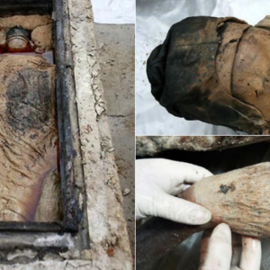 The accidental mummy: The discovery of an impeccably preserved woman from the Ming Dynasty