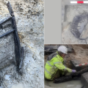 Incredibly rare iron age wooden objects discovered in 2,000-year-old waterlogged site in the UK