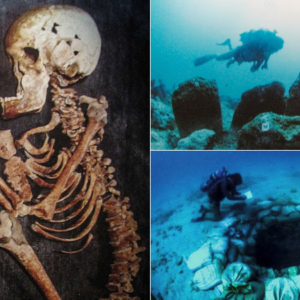 Atlit-Yam: A submerged Neolithic settlement